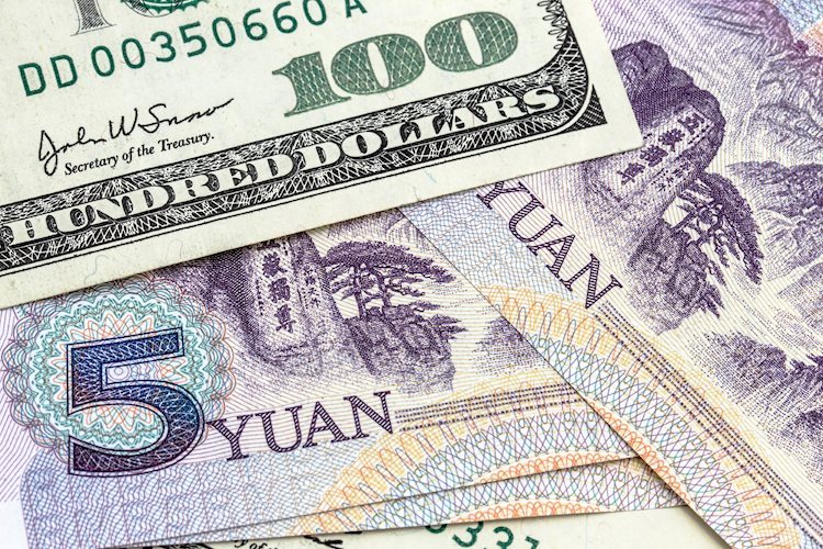 短期内人民币汇率波动仍将持续 - 德国商业银行