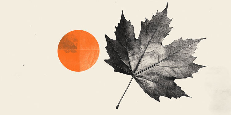 加拿大元在加拿大央行SDG罗杰斯讲话前保持稳定 – 加拿大丰业银行