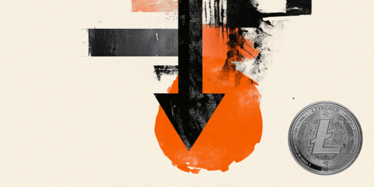 美元/加元在加拿大CPI数据强劲的情况下稳定，削弱了市场对加拿大央行（BoC）降息的押注